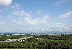 View Ono